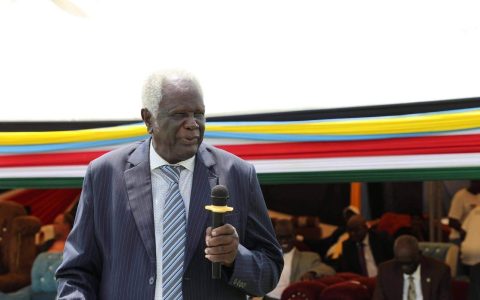 NEC Chairperson Hon. Prof. Abednego Akok Kacuol officially launches the campaign