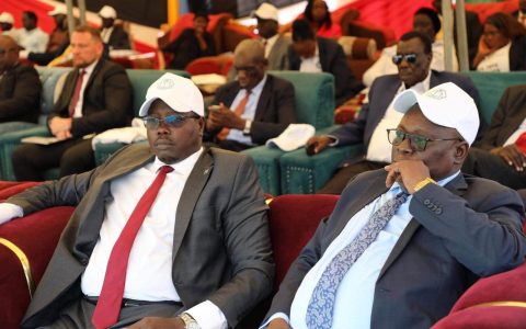 Guests follow proceedings at the National Launch