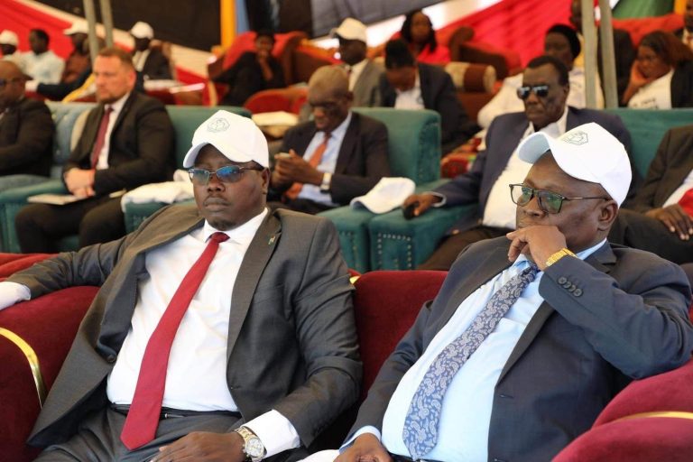 Guests follow proceedings at the National Launch