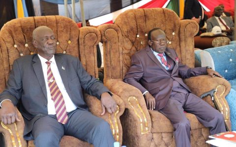 Senior guests seated at the National Launch