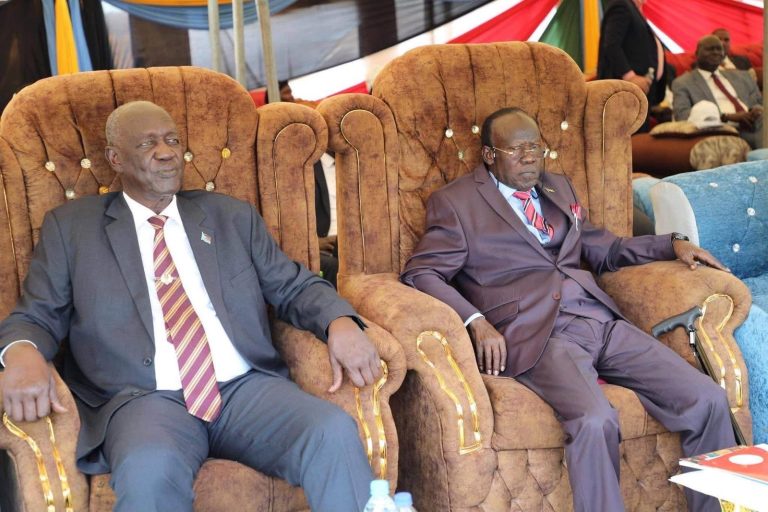 Senior guests seated at the National Launch