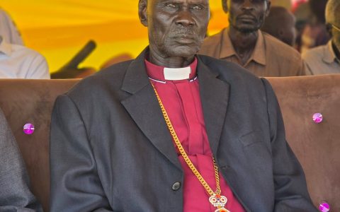 Jonglei State CVE Launch, Bor
