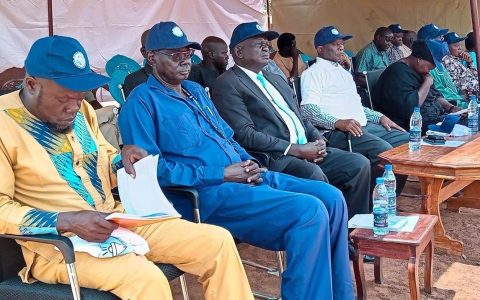 Officials and invited guests follow the proceedings