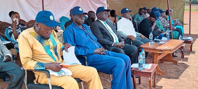 Officials and invited guests follow the proceedings