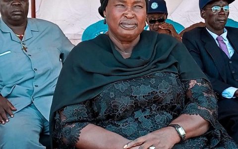 An invited guest at the launch ceremony