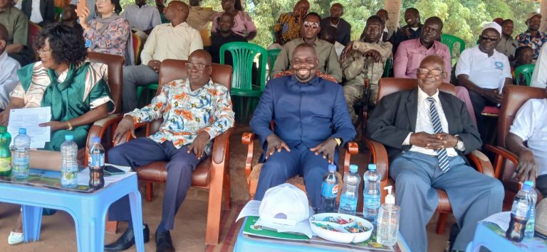 Officials and guests follow the proceedings