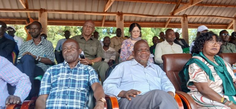 Invited guests follow the proceedings