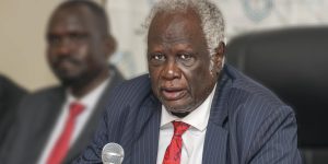Chairperson of the National Elections Commission Prof. Abednego Akok Kacuol addresses the voter registration training in Juba