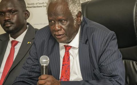 Voter Registration Training, Juba