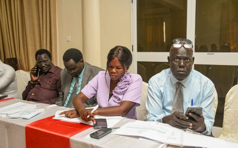 Voter Registration Training, Juba