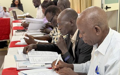 Voter Registration Training, Juba