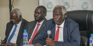 Voter Registration Training, Juba