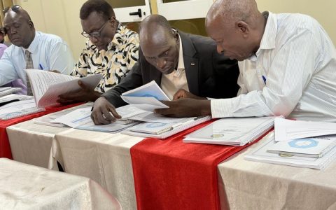 Voter Registration Training, Juba