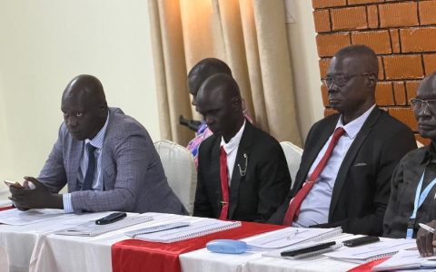 Voter Registration Training, Juba