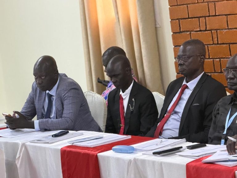 Participants follow the proceedings in Juba