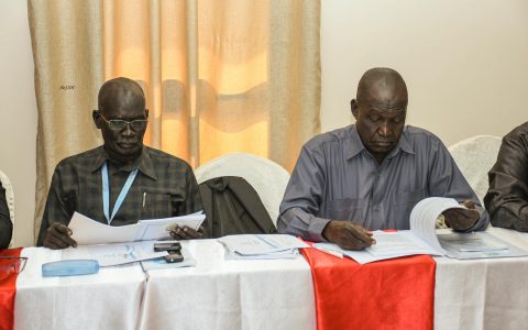 Voter Registration Training, Juba